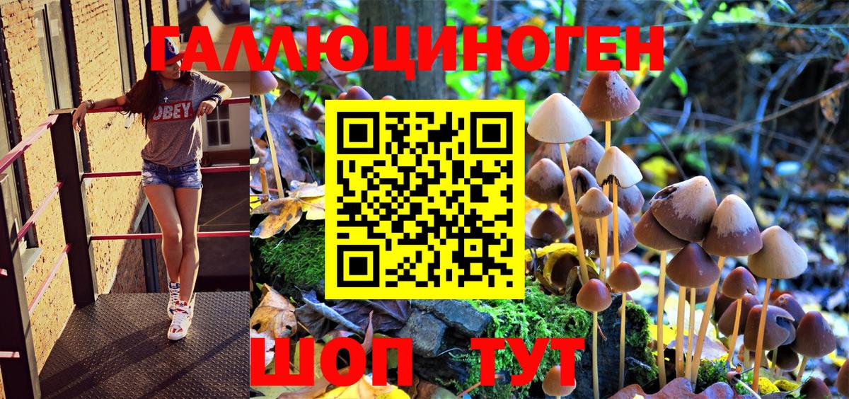 Псилоцибиновые грибы Magic Shrooms Саяногорск
