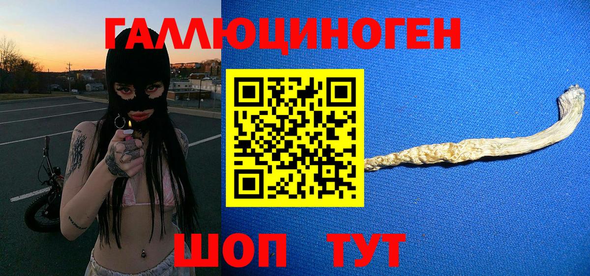 Галлюциногенные грибы Psilocybine cubensis  Вход с VPN  Саяногорск 